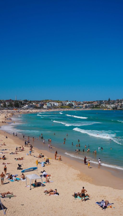 Bondi Beach