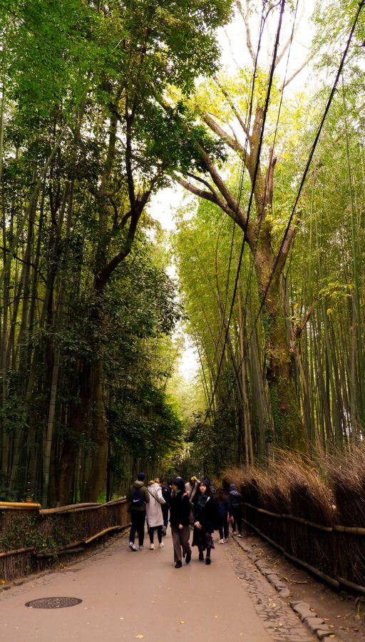 Bosque de Bambú de Arashiyama