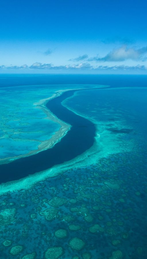 Gran Barrera de Coral australia