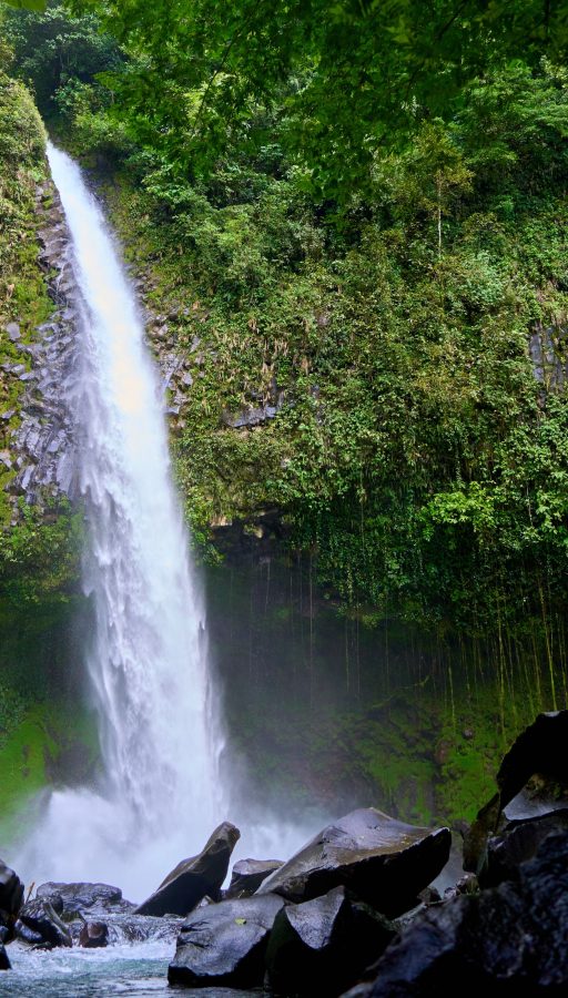 La Fortuna 1