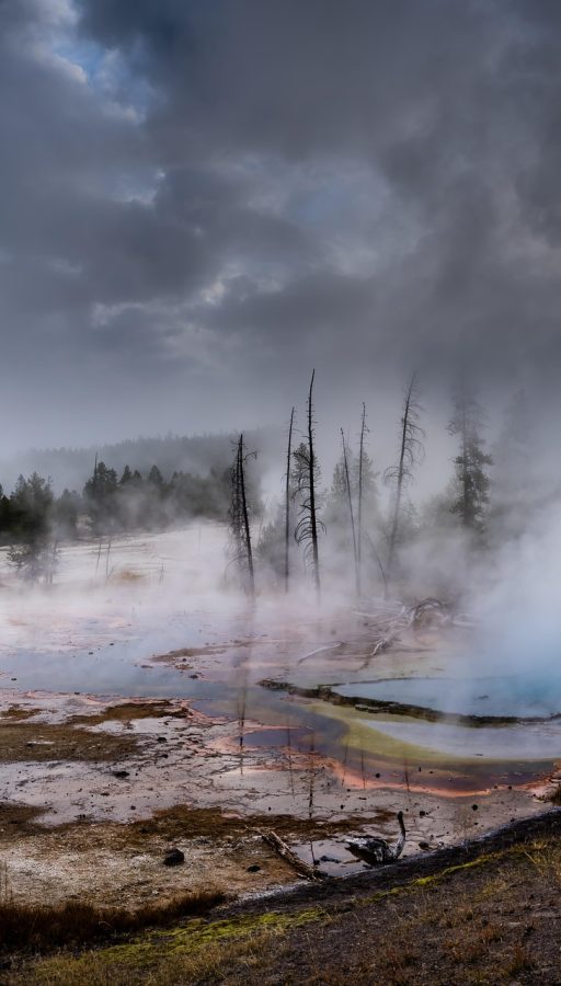 Yellowstone